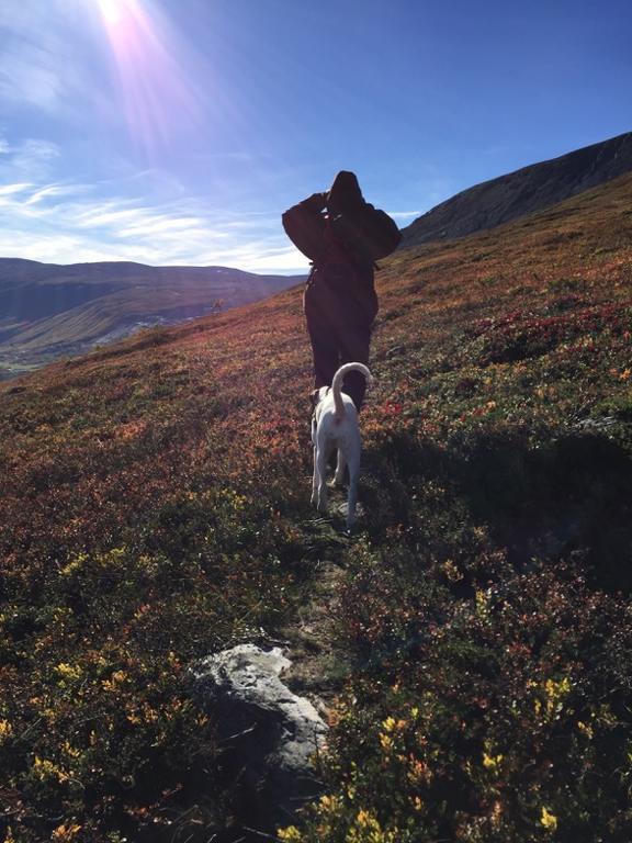 Magalaupe Camping Oppdal Exteriér fotografie